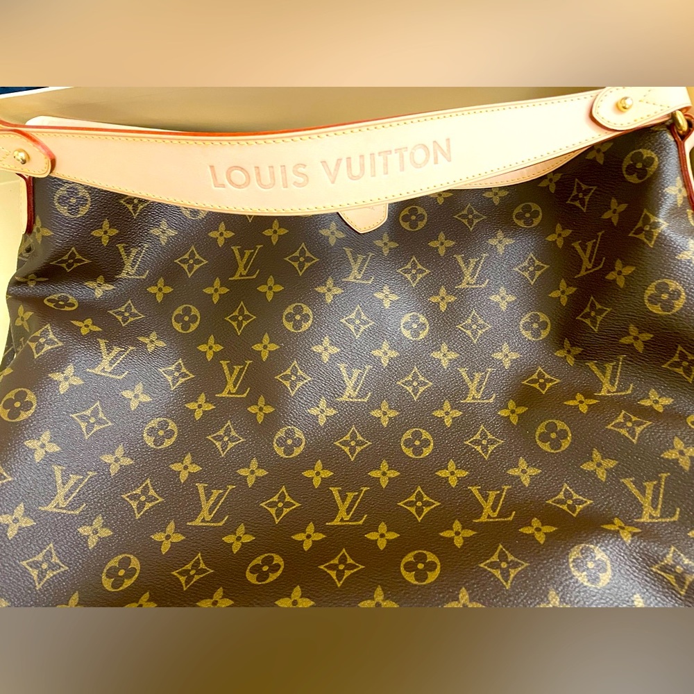 Brand NEW DELIGHTFUL LOUIS VUITTON with original box and protective bag!